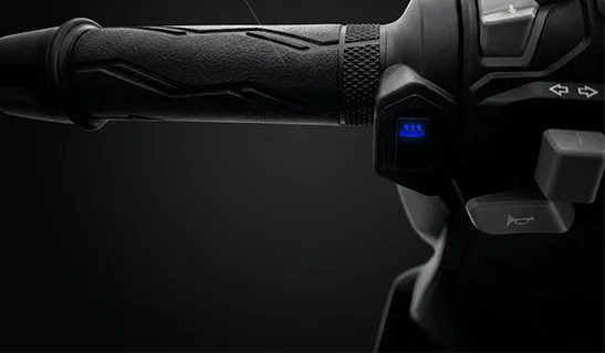Heated handlebar grip with its heat level control