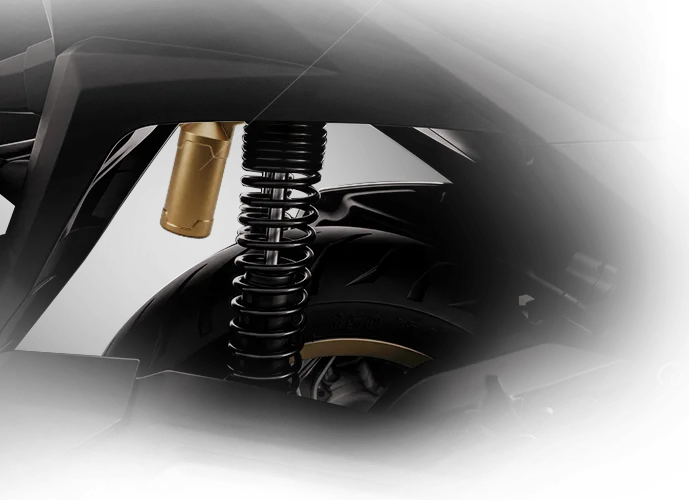 Gold rear air-assisted shock absorber